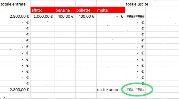 Preview del foglio Excel per il bilancio familiare